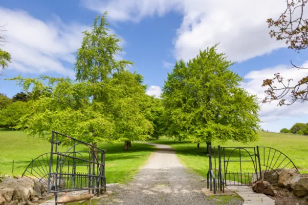 Photo of Dunran Demesne, On Approx. 39 Ha (98 Acres), Ashford, County Wicklow, A67P300